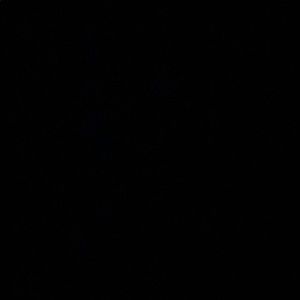 Meet your Posher, Irma